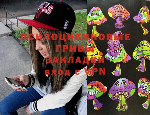 сатива Переславль-Залесский