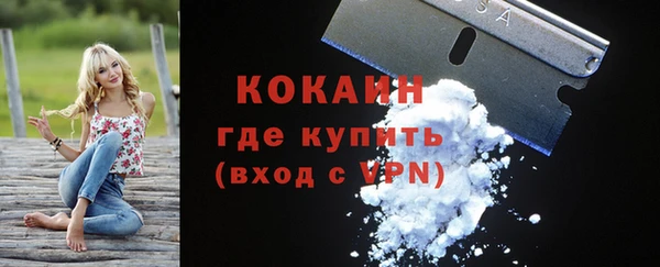 твердый Пересвет
