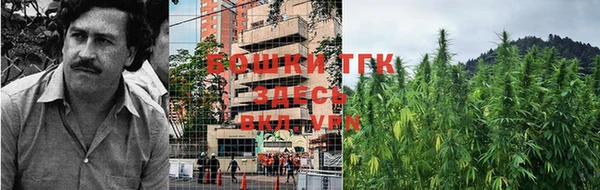 твердый Пересвет