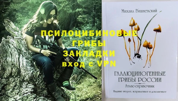 СК Пестово
