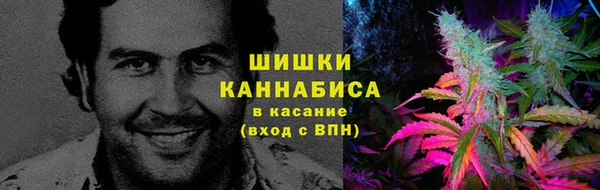 твердый Пересвет