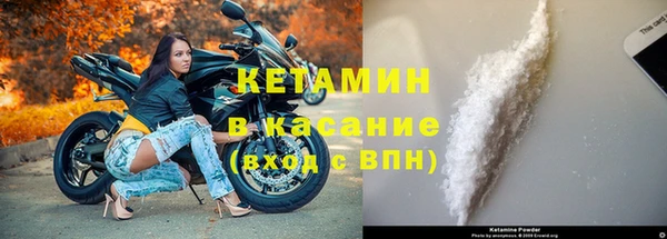 твердый Пересвет