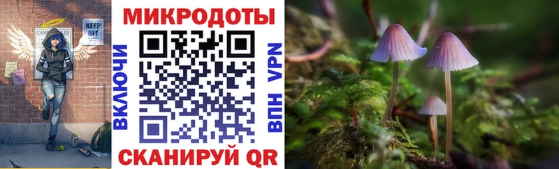 Галлюциногенные грибы мухоморы  что такое   даркнет наркотические препараты  Полысаево 