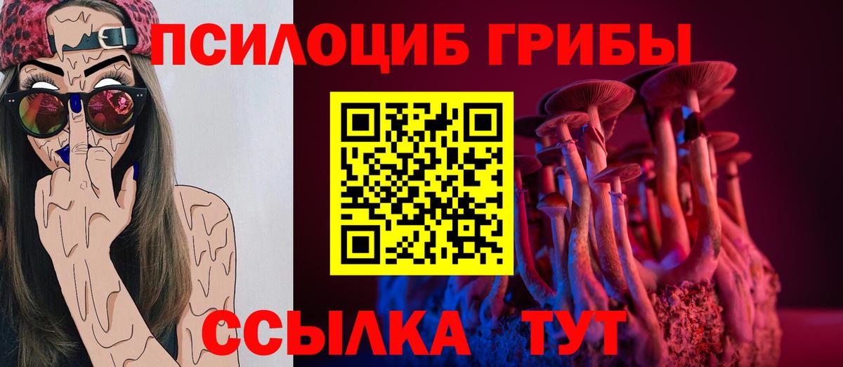Галлюциногенные грибы прущие грибы Полысаево