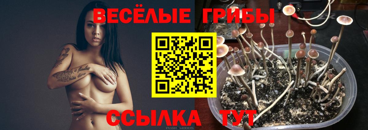 Галлюциногенные грибы GOLDEN TEACHER  Галлюциногенные грибы GOLDEN TEACHER  Полысаево  Вход с VPN 